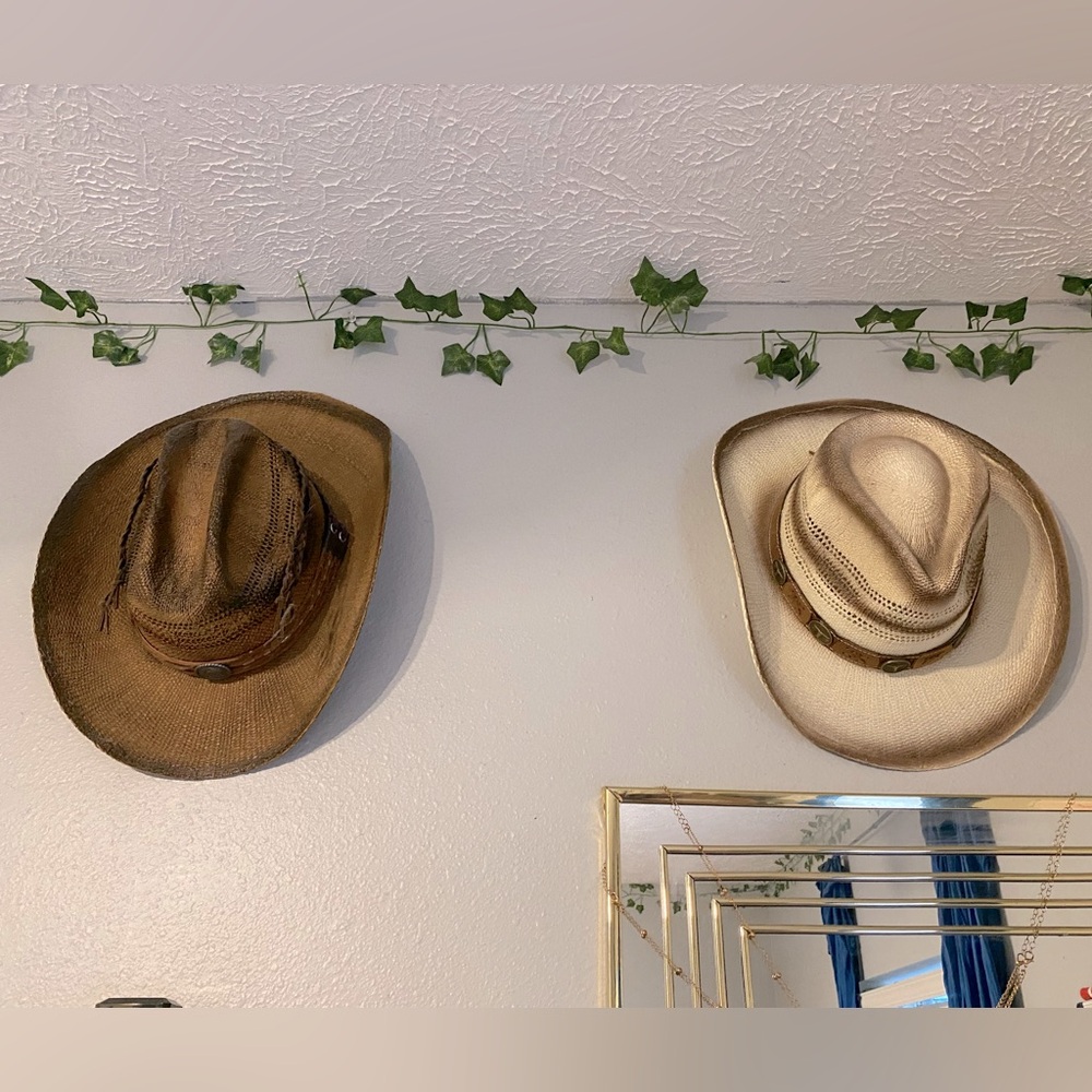 TWO western hats!